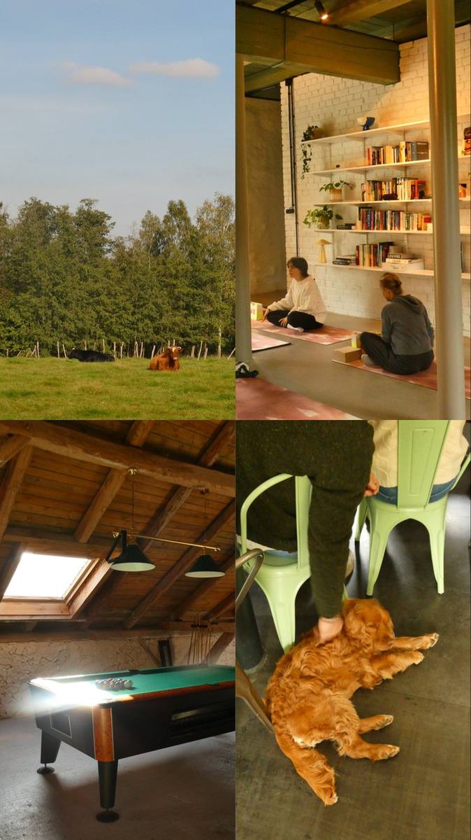 Kolaż z Joga Camp 2